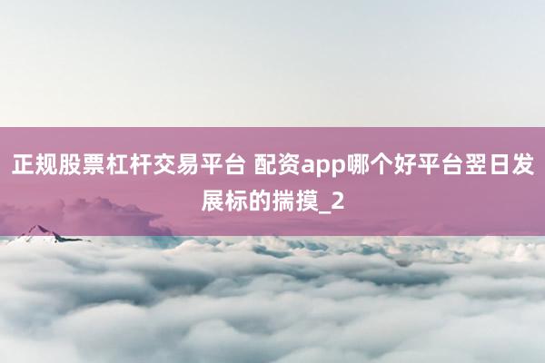 正规股票杠杆交易平台 配资app哪个好平台翌日发展标的揣摸_2